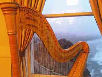Wedding Harp Music!